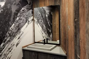 modern bathroom with wood walls
